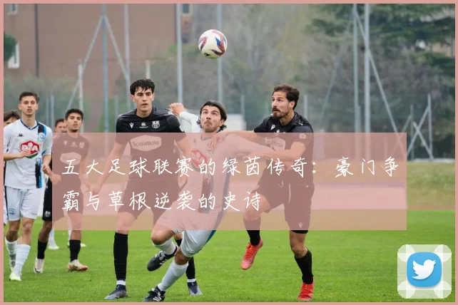五大足球联赛的绿茵传奇：豪门争霸与草根逆袭的史诗
