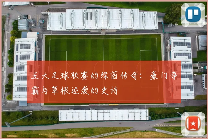 五大足球联赛的绿茵传奇：豪门争霸与草根逆袭的史诗